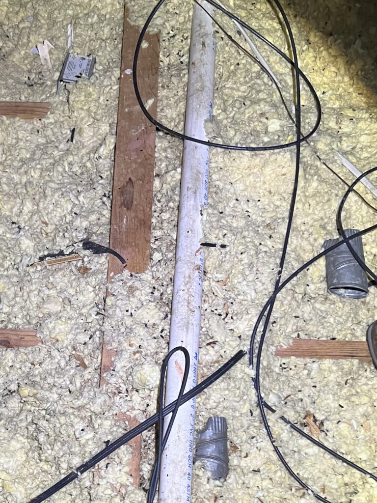 Signs of Rodent Activity